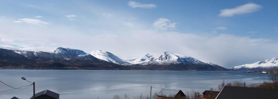 Hansnes Havfiske エクステリア 写真